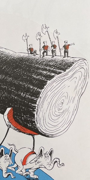 Zinzibar-Zanzibar tree